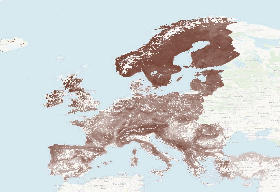 overview